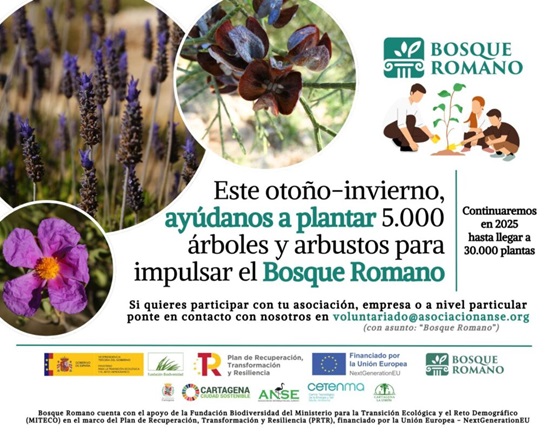 5000 Nuevas plantas