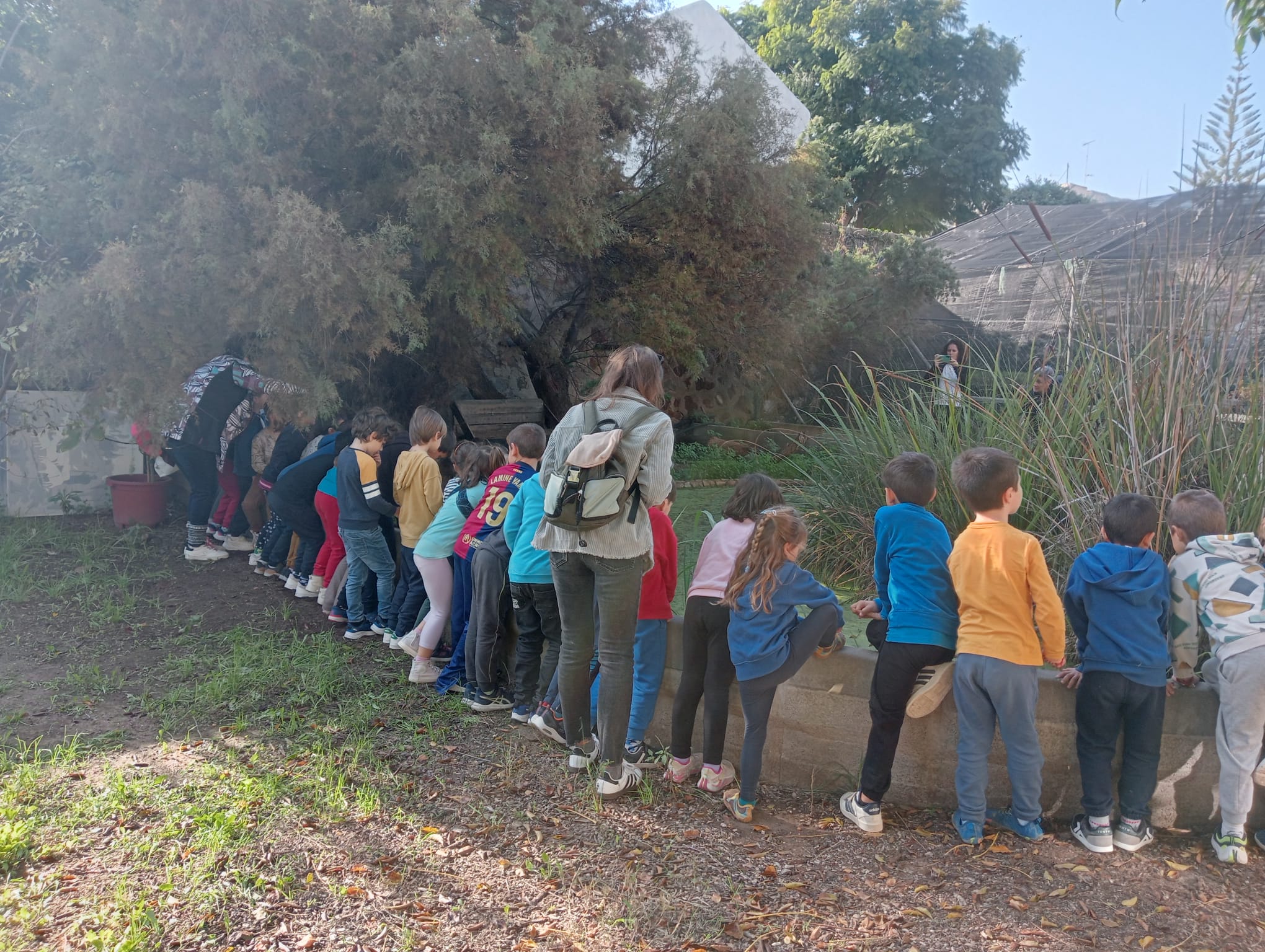 Educacin ambiental