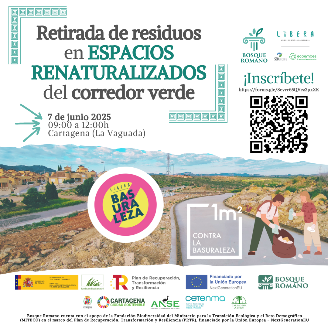 LIMPIEZA ENTORNO BOSQUE ROMANO