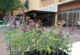 Jornada de intercambio de flora