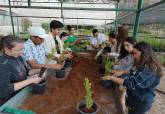 Erasmus Student Network Cartagena