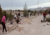 Plantaciones Avda descubrimiento de Amrica