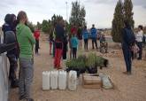 Plantaciones Avda descubrimiento de Amrica