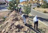 Bosque  Romano Cartagena diciembre plantacin La Vaguada