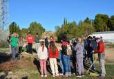 Bosque  Romano Cartagena diciembre plantacin La Vaguada