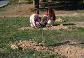 Bosque  Romano Cartagena diciembre plantacin La Vaguada