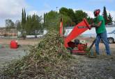 Bosque  Romano Cartagena diciembre labores de mantenimiento plantaciones