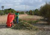 Bosque  Romano Cartagena diciembre labores de mantenimiento plantaciones