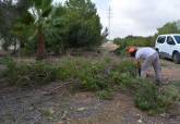 Bosque  Romano Cartagena diciembre labores de mantenimiento plantaciones